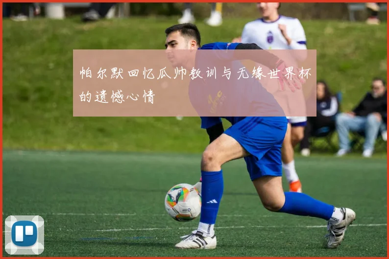帕尔默回忆瓜帅教训与无缘世界杯的遗憾心情
