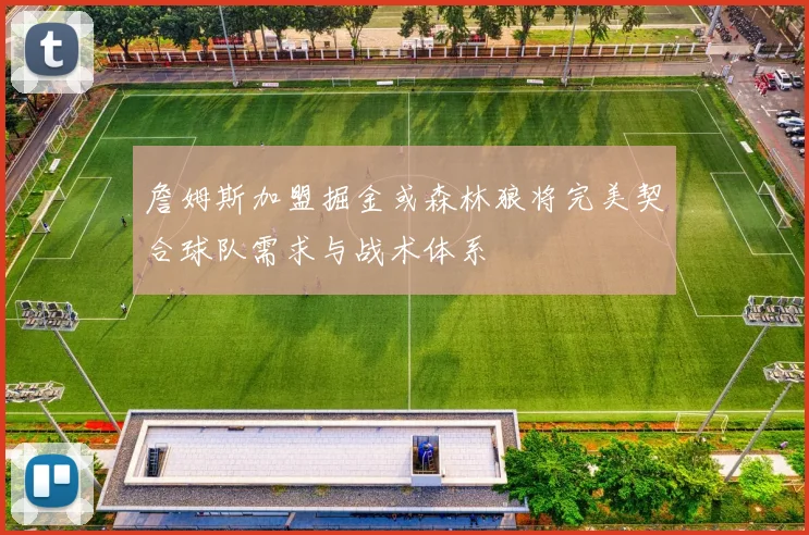 詹姆斯加盟掘金或森林狼将完美契合球队需求与战术体系