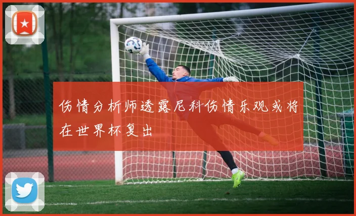 伤情分析师透露尼科伤情乐观或将在世界杯复出